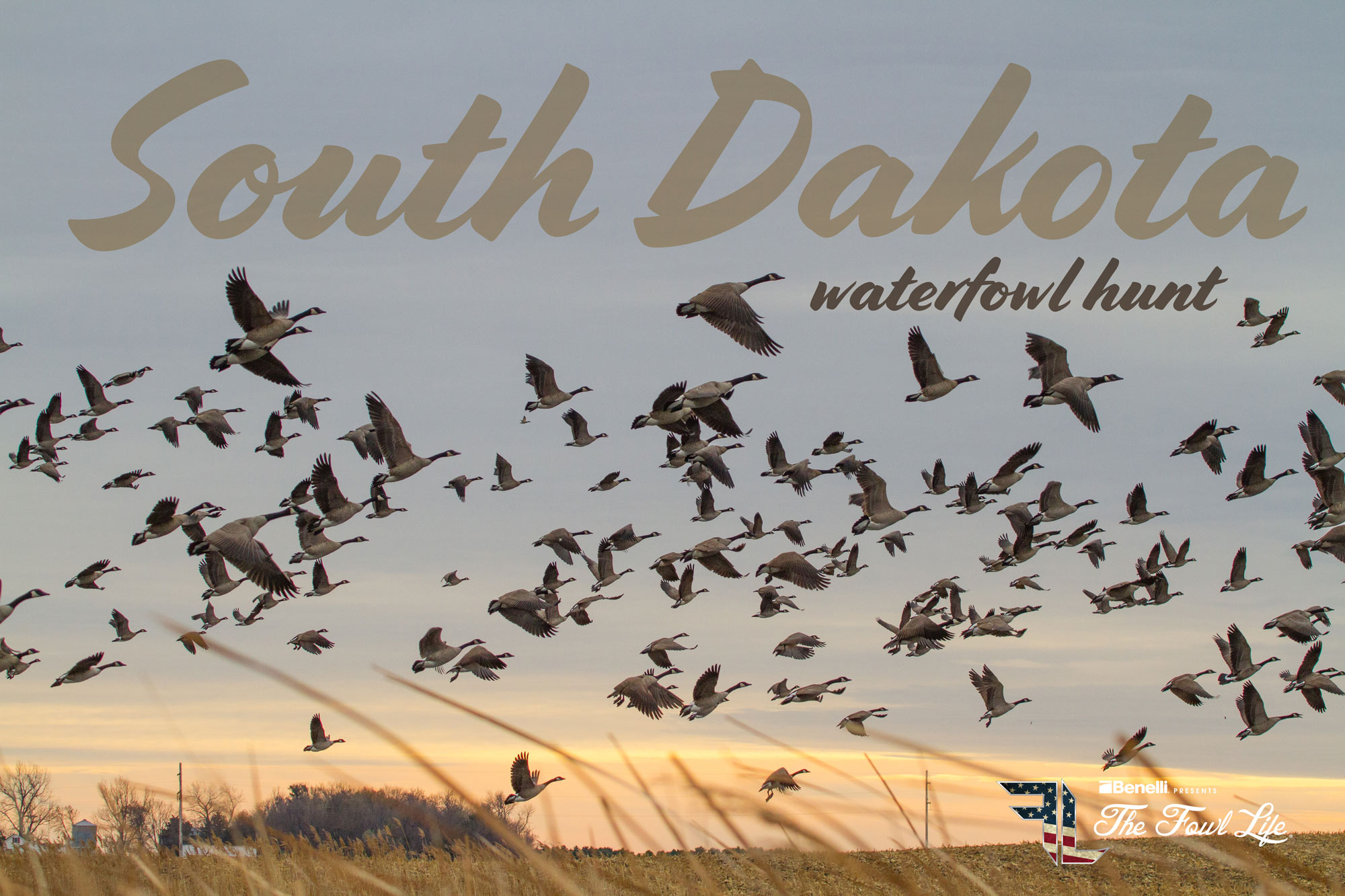 Good Early Season Goose Hunting in South Dakota The Fowl Life